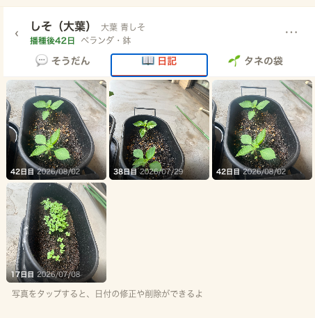日記画面。写真が日目ラベルつきで並ぶ
